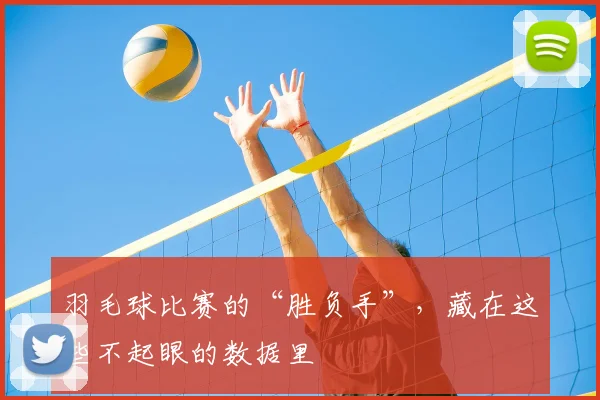 羽毛球比赛的“胜负手”，藏在这些不起眼的数据里
